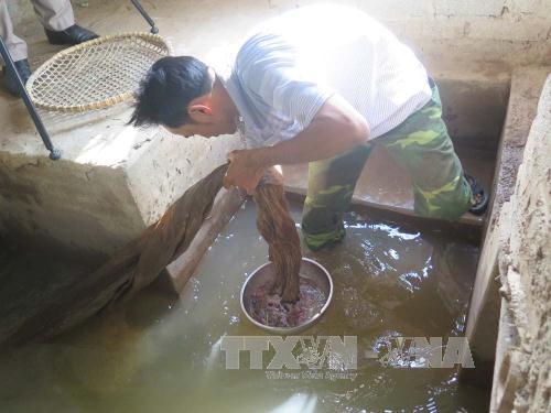 Hải Dương hứa hẹn một mùa rươi bội thu 
